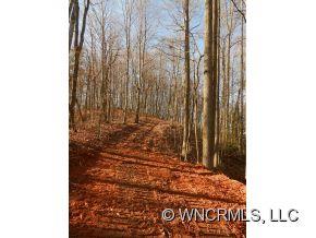 0 Piney Knob Road Marshall, NC 28753 - Photo 12 of 24