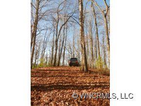 0 Piney Knob Road Marshall, NC 28753 - Photo 14 of 24