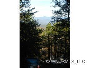0 Piney Knob Road Marshall, NC 28753 - Photo 16 of 24