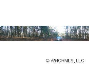 0 Piney Knob Road Marshall, NC 28753 - Photo 23 of 24