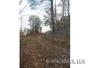 0 Piney Knob Road Marshall, NC 28753 - Photo 24 of 24