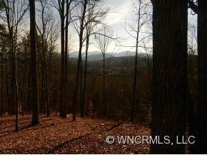 0 Piney Knob Road Marshall, NC 28753 - Photo 4 of 24