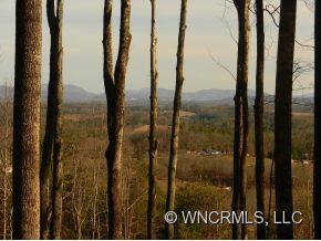 0 Piney Knob Road Marshall, NC 28753 - Photo 6 of 24