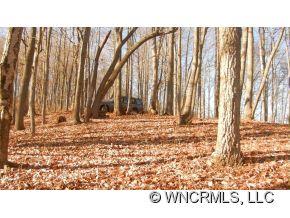 0 Piney Knob Road Marshall, NC 28753 - Photo 10 of 24