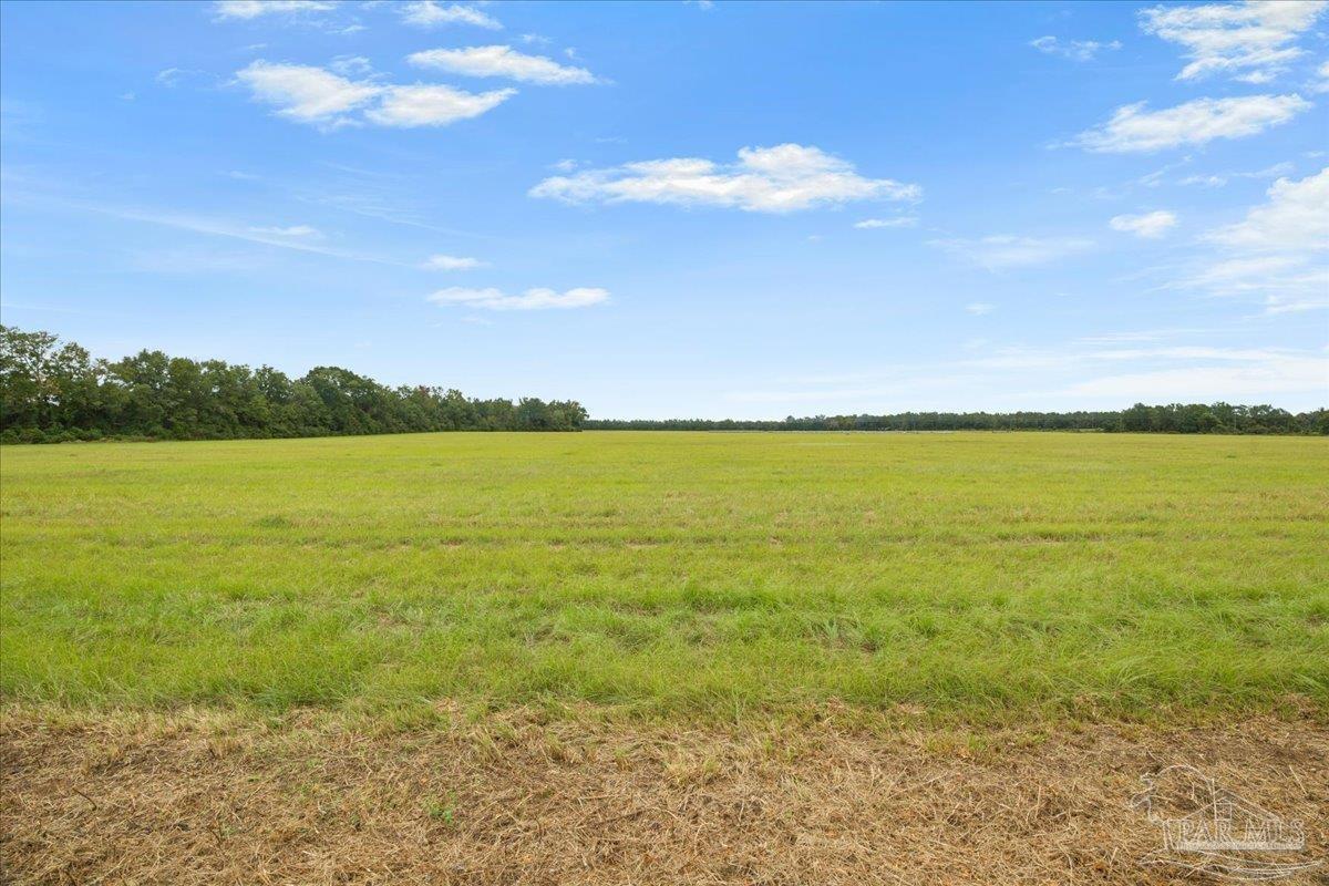 1 A Molino Bridge Road Pace, FL 32571 - Photo 13 of 14