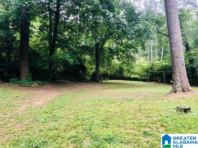 1741 Murray Hill Road Birmingham, AL 35216 - Photo 25 of 29