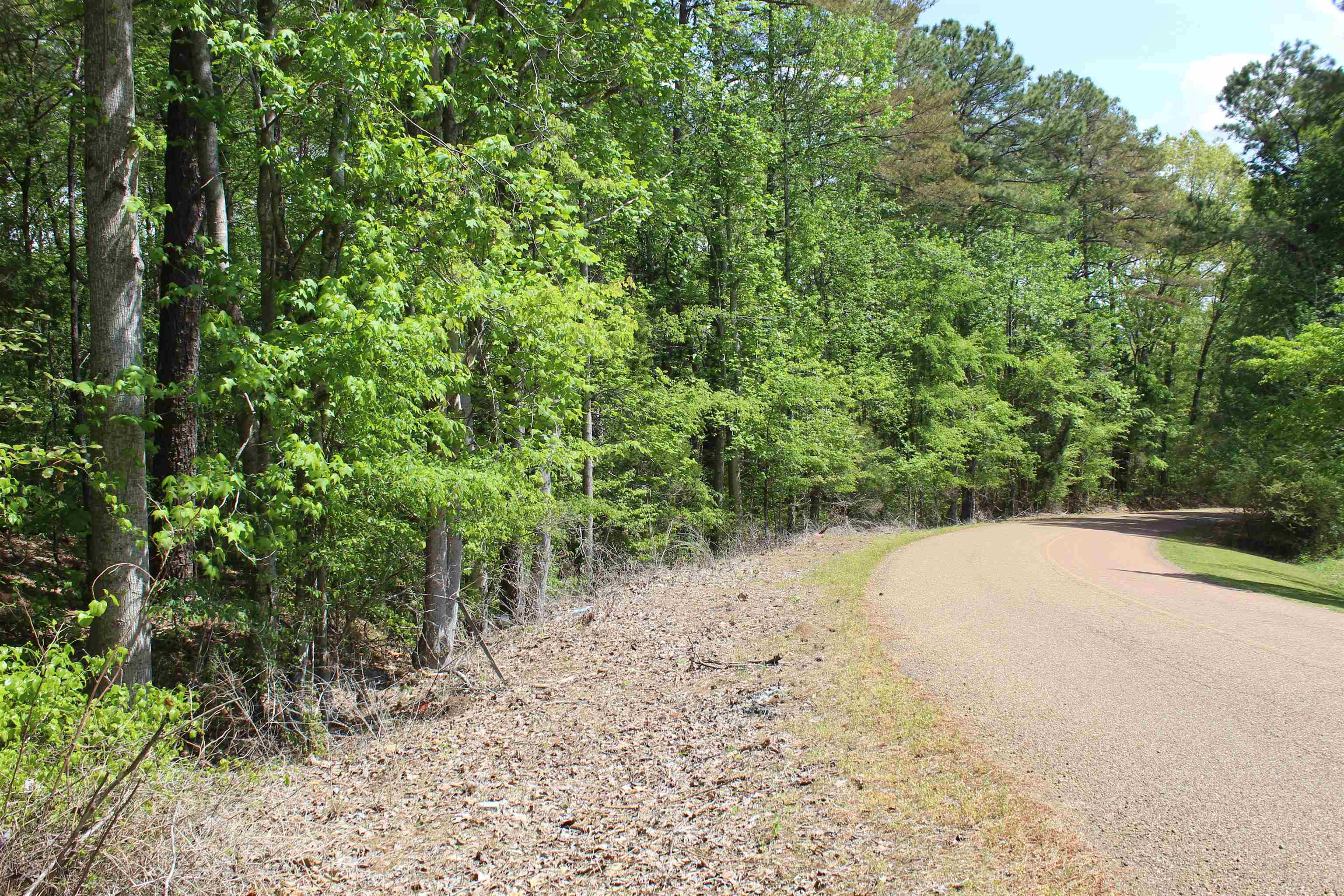 0 Maroney Road Medon, TN 38356 - Photo 27 of 37 Gallery Image 27