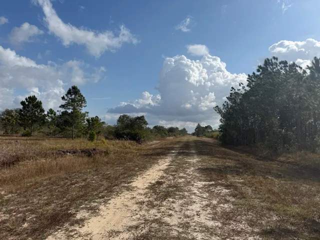 $59,900 | 16375 Northwest 314th Street, Okeechobee, FL 34972