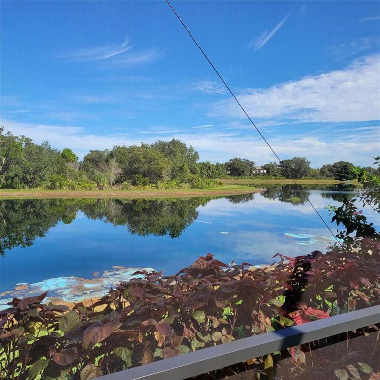 17335 Blue Ridge Place Bradenton, FL 34211 - Photo 28 of 44 a view of a lake with houses