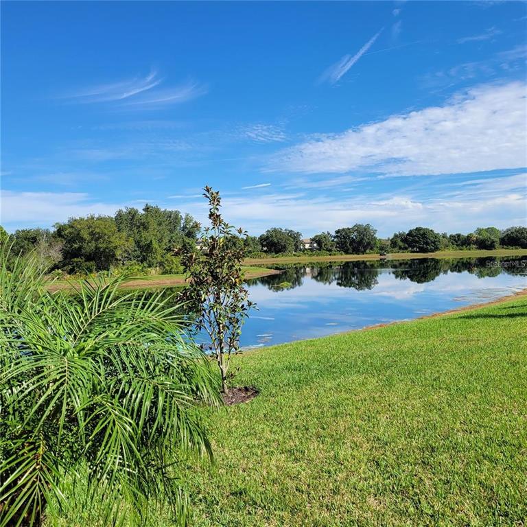 17335 Blue Ridge Place Bradenton, FL 34211 - Photo 29 of 44 a view of a lake with houses in the back