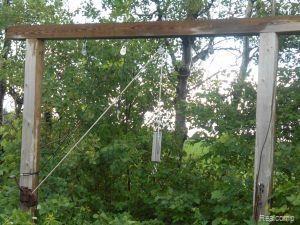 0 Huron Line Road Cass City, MI 48726 - Photo 7 of 9 Huron Line Road Deer hanger.jpg