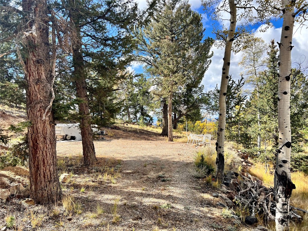 593 Osprey Road Como, CO 80432 - Photo 14 of 32