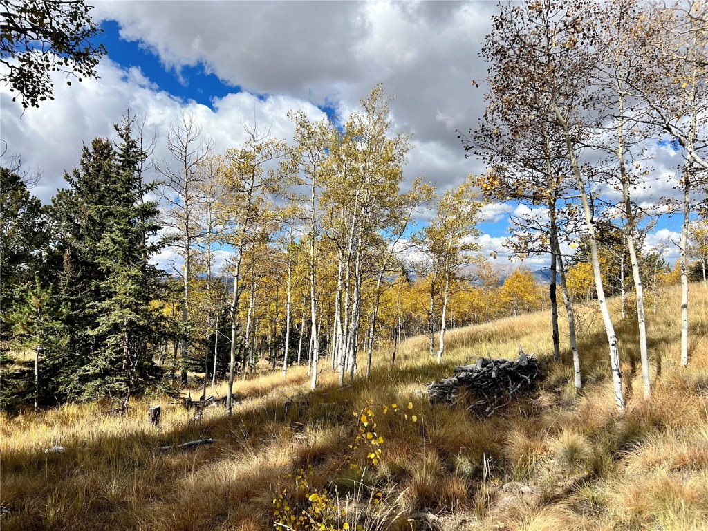 593 Osprey Road Como, CO 80432 - Photo 16 of 32