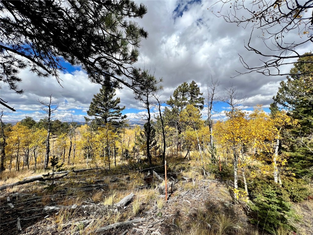 593 Osprey Road Como, CO 80432 - Photo 21 of 32 a view of outdoor space