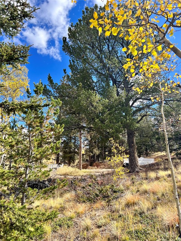 593 Osprey Road Como, CO 80432 - Photo 22 of 32 a view of outdoor space with trees