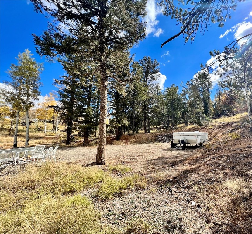 593 Osprey Road Como, CO 80432 - Photo 26 of 32 a street view with large trees