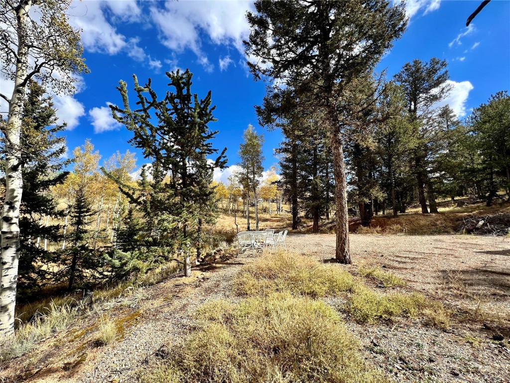 593 Osprey Road Como, CO 80432 - Photo 28 of 32