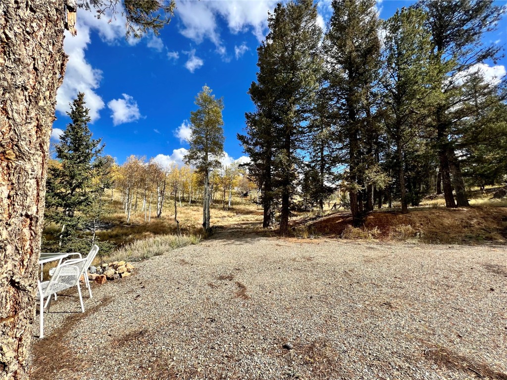 593 Osprey Road Como, CO 80432 - Photo 29 of 32 a view of a yard covered in snow