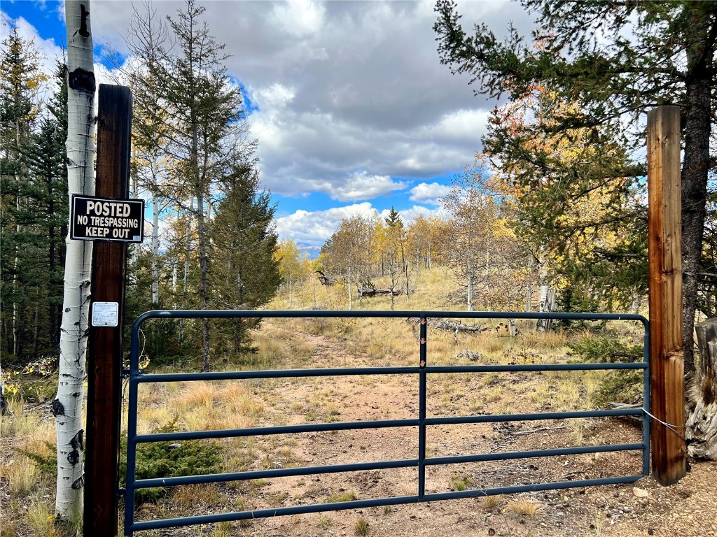 593 Osprey Road Como, CO 80432 - Photo 3 of 32
