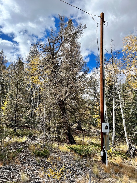 593 Osprey Road Como, CO 80432 - Photo 32 of 32 a view of a pathway with an tree