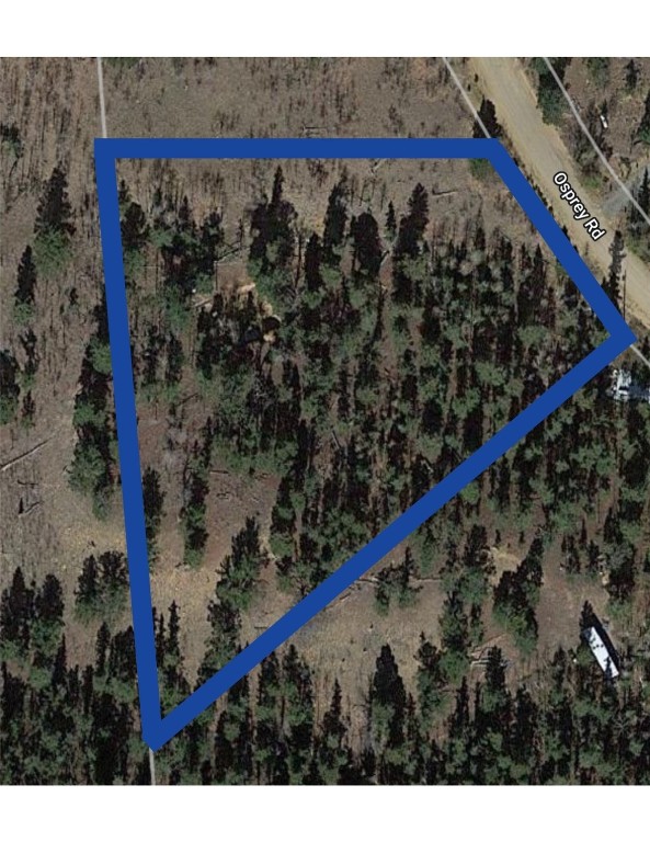 593 Osprey Road Como, CO 80432 - Photo 6 of 32 a view of a forest