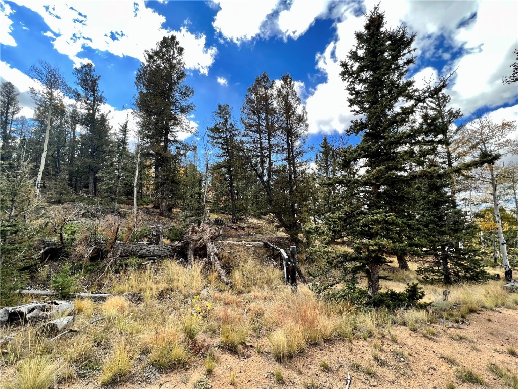 593 Osprey Road Como, CO 80432 - Photo 9 of 32