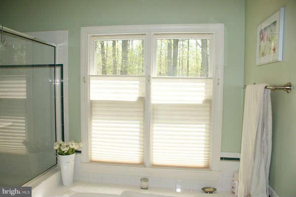 7236 Wilson Road Marshall, VA 20115 - Photo 16 of 30 Bath (Master)