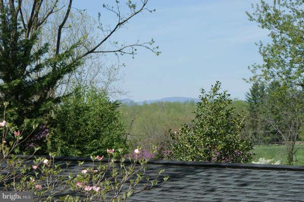7236 Wilson Road Marshall, VA 20115 - Photo 18 of 30 View