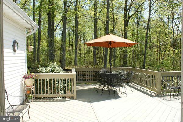 7236 Wilson Road Marshall, VA 20115 - Photo 19 of 30 Exterior (Rear)