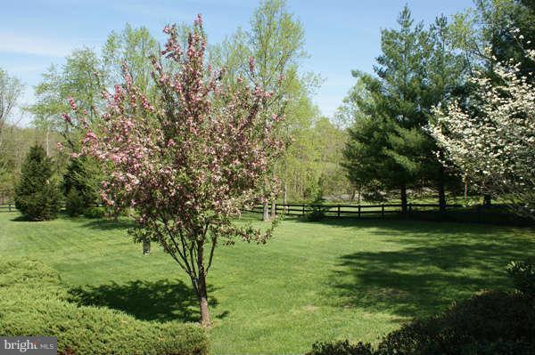 7236 Wilson Road Marshall, VA 20115 - Photo 22 of 30 Exterior (Front)