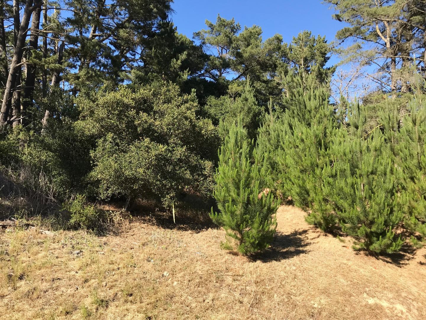 823 Lewis Road Watsonville, CA 95076 - Photo 13 of 23 Gallery Image 13