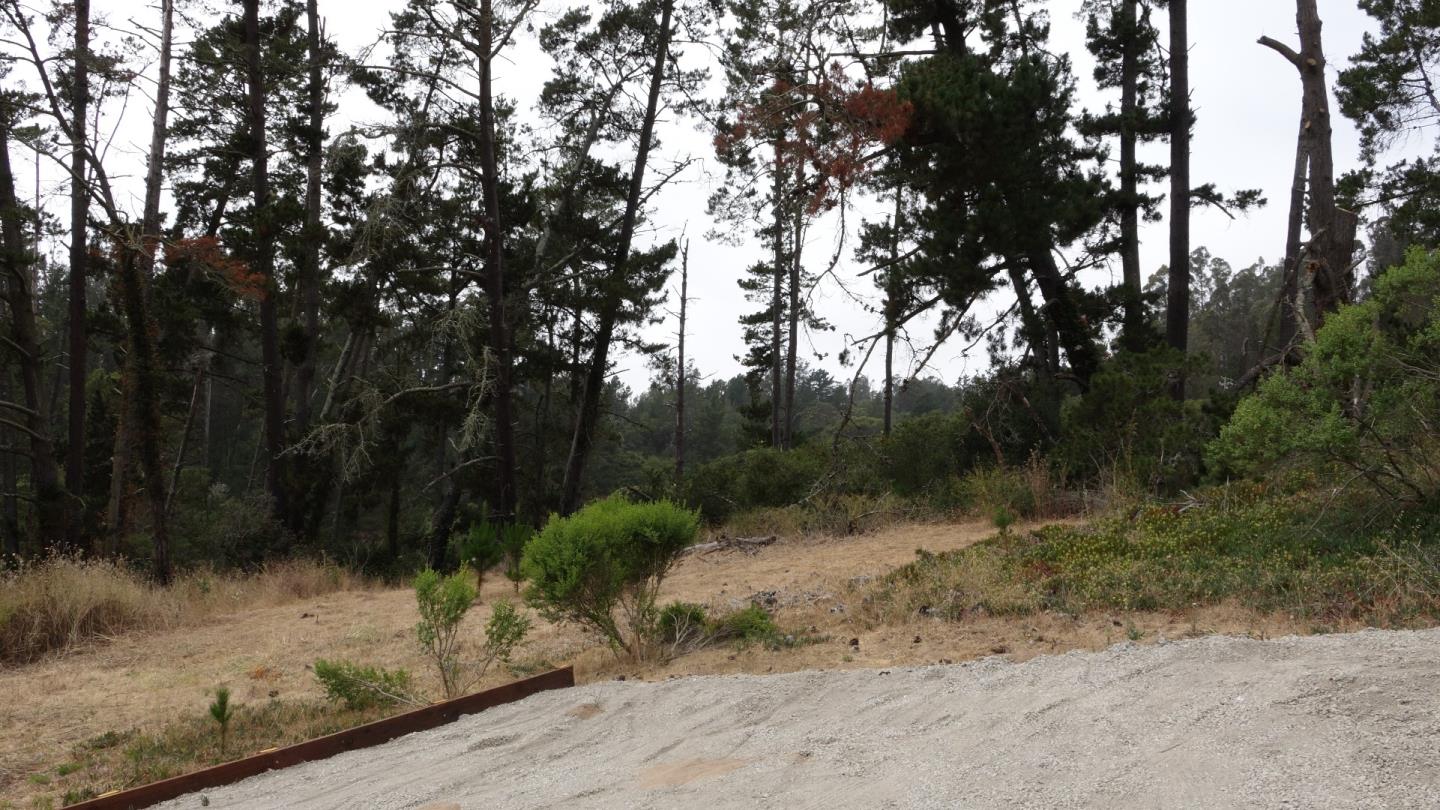 823 Lewis Road Watsonville, CA 95076 - Photo 16 of 23 Gallery Image 16