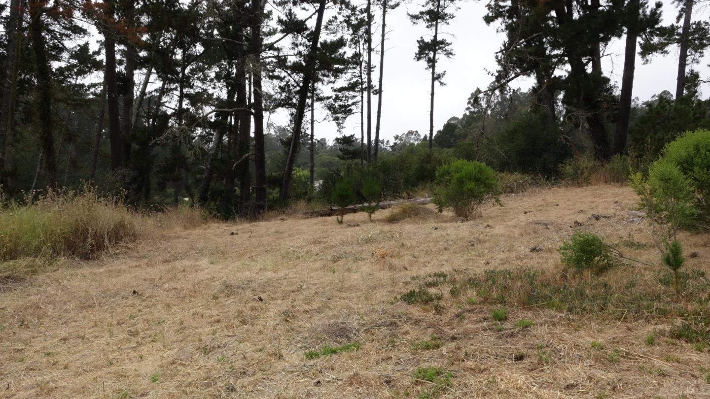 823 Lewis Road Watsonville, CA 95076 - Photo 23 of 23 Gallery Image 23