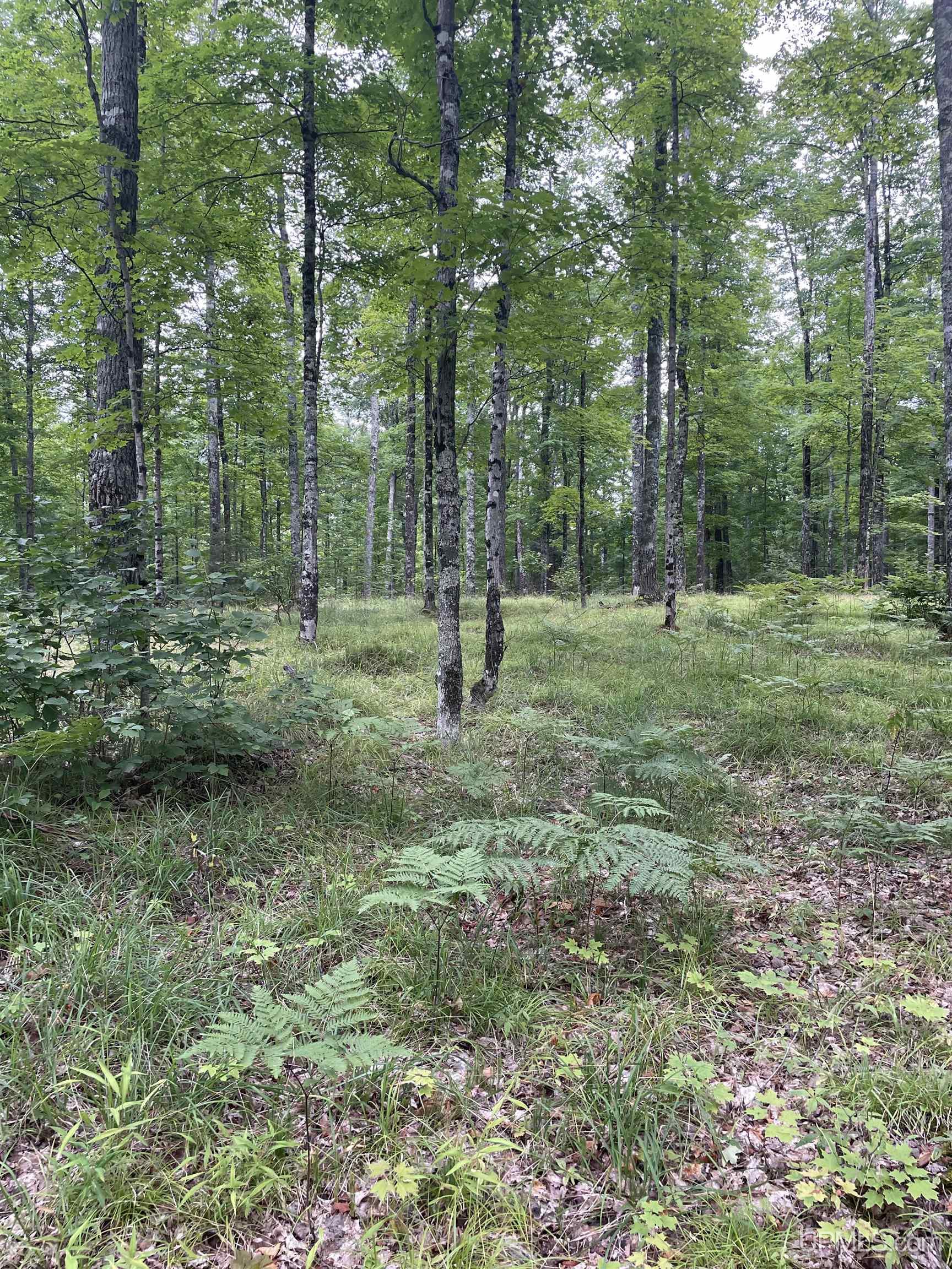 Tbd Tbd County Road, Unit 1 Cornell, MI 49818 - Photo 28 of 41