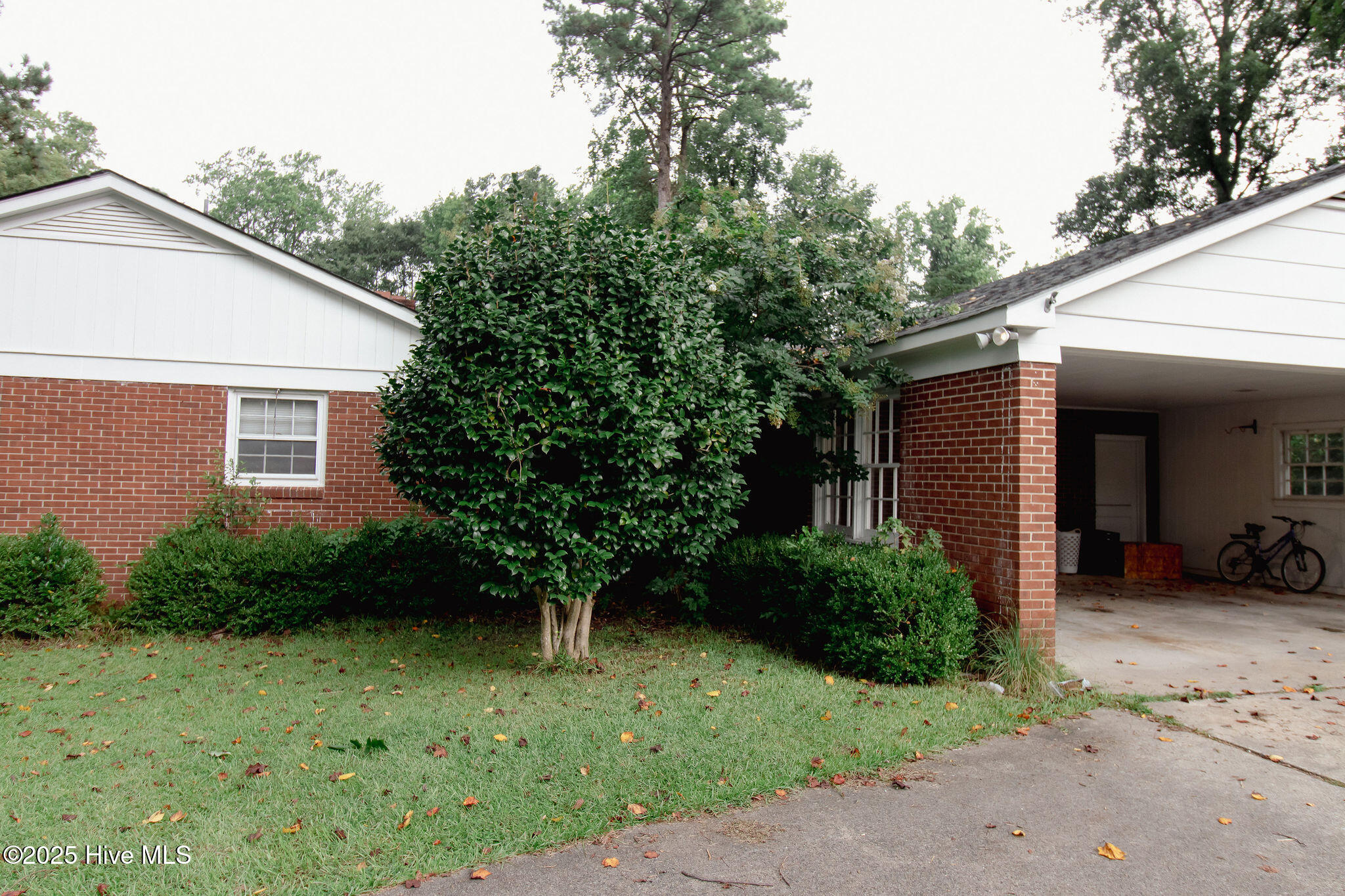 2803 Carey Road Kinston, NC 28504 - Photo 6 of 27 _MG_7365