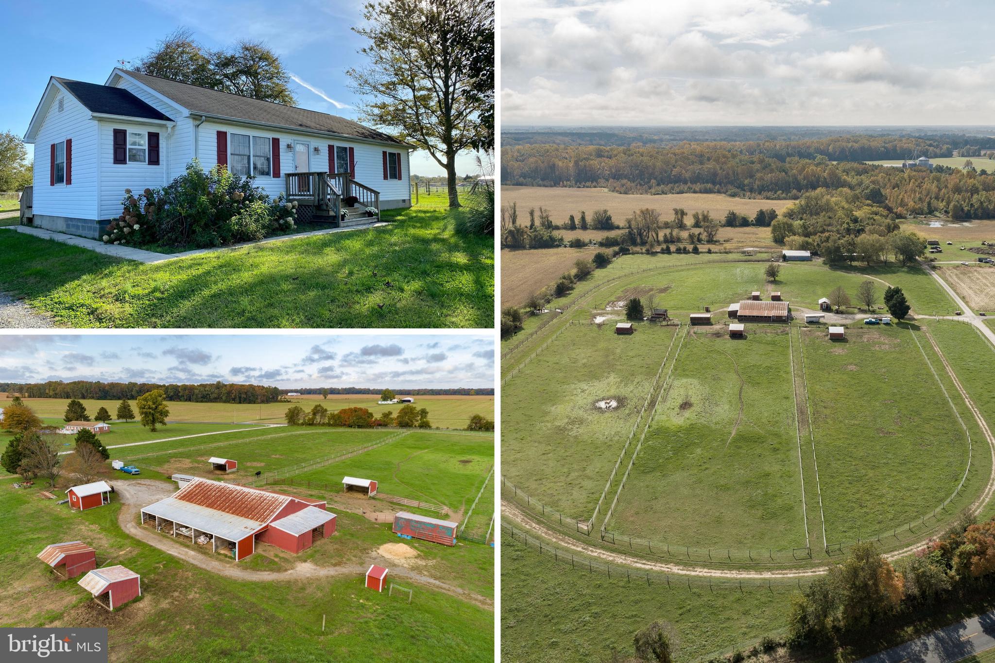 516 Crouse Mill Road Queen Anne, MD 21657 - Photo 1 of 39 Farm Sweet Farm