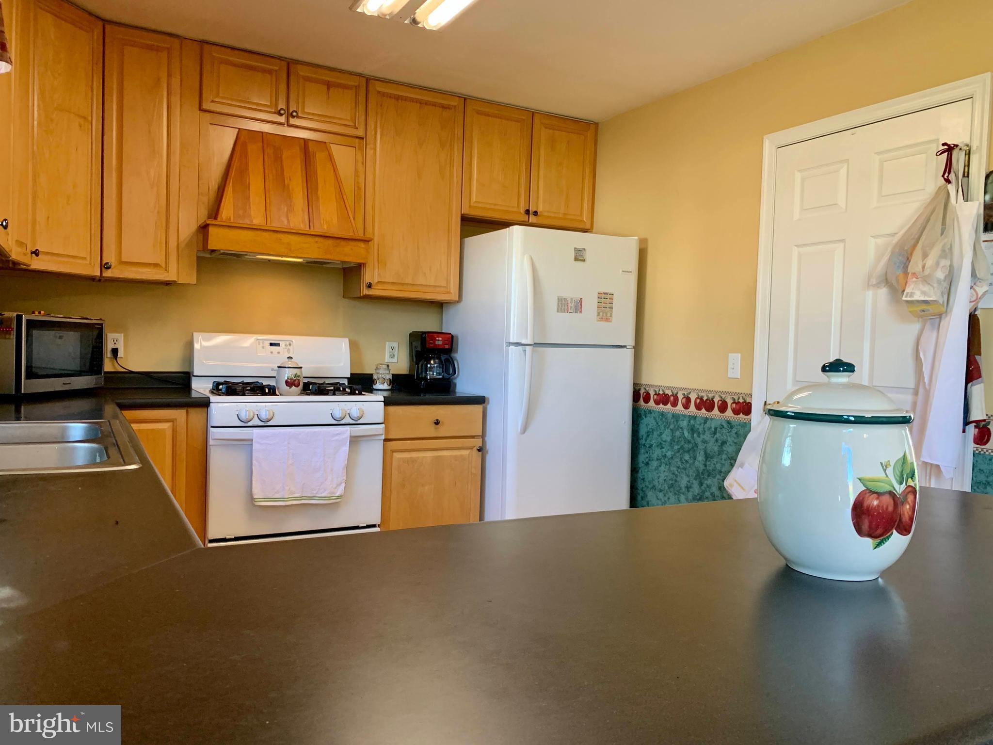 516 Crouse Mill Road Queen Anne, MD 21657 - Photo 11 of 39 Newer Appliances
