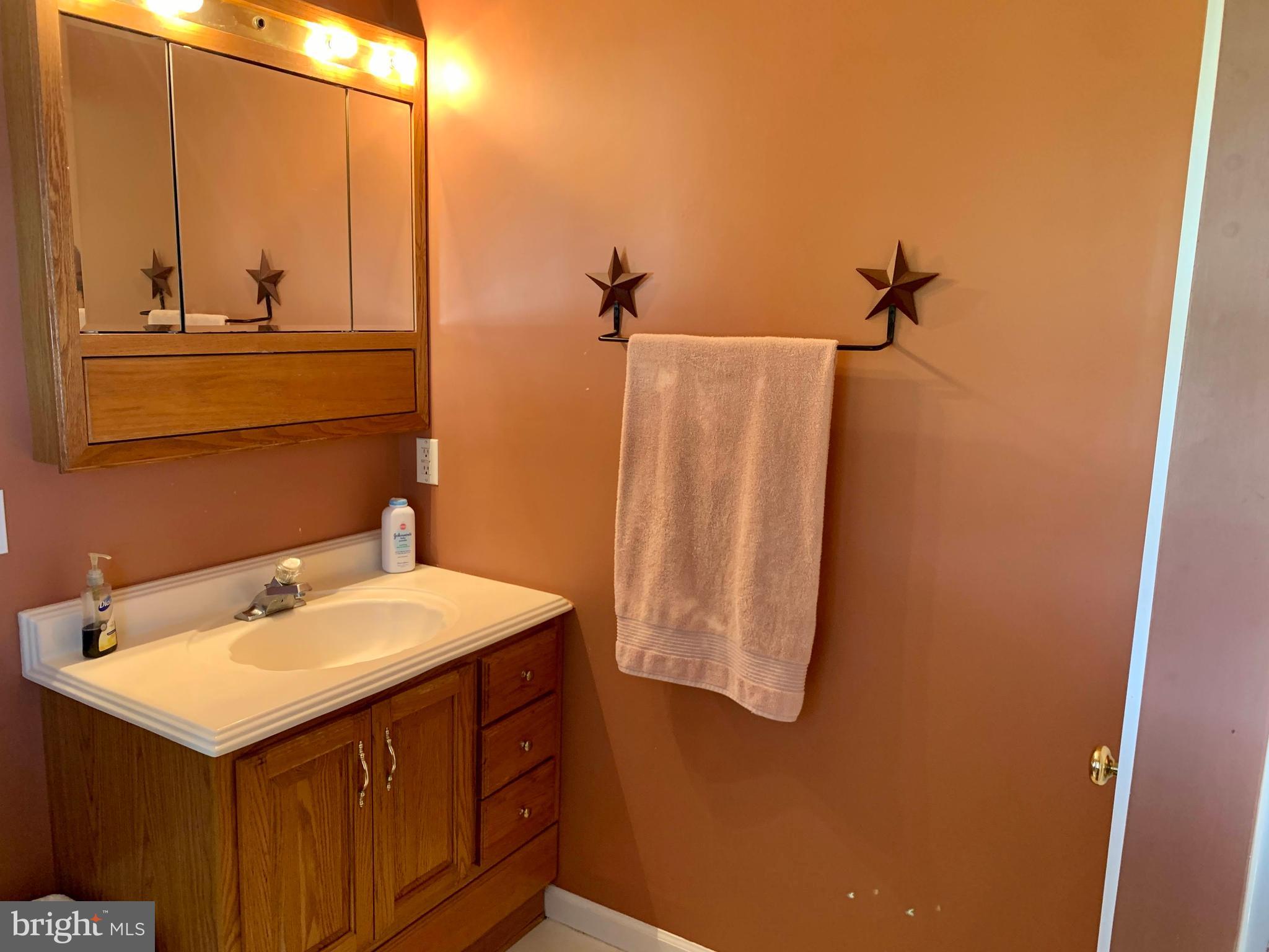 516 Crouse Mill Road Queen Anne, MD 21657 - Photo 17 of 39 Master Bathroom
