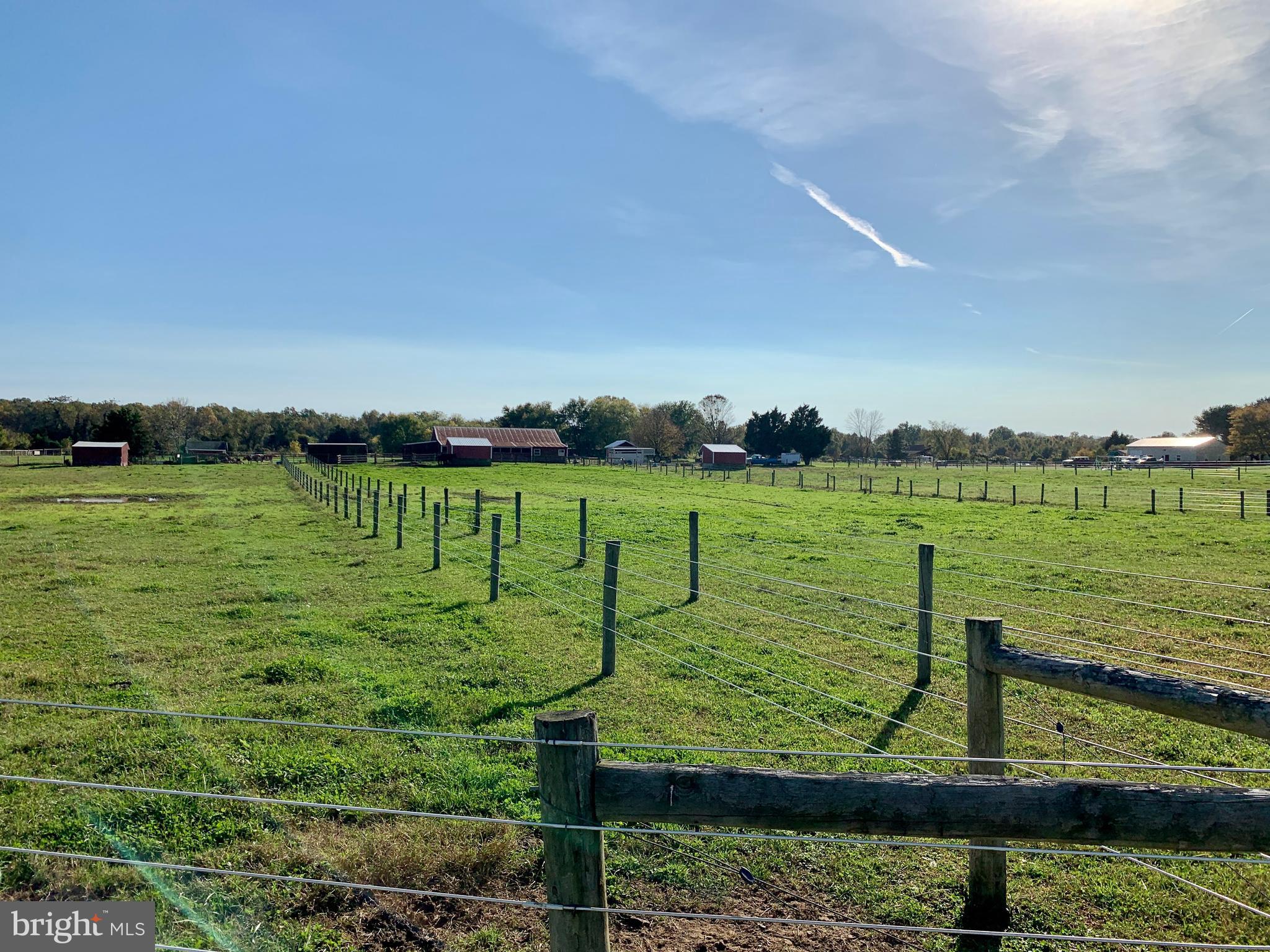 516 Crouse Mill Road Queen Anne, MD 21657 - Photo 20 of 39 Pastures