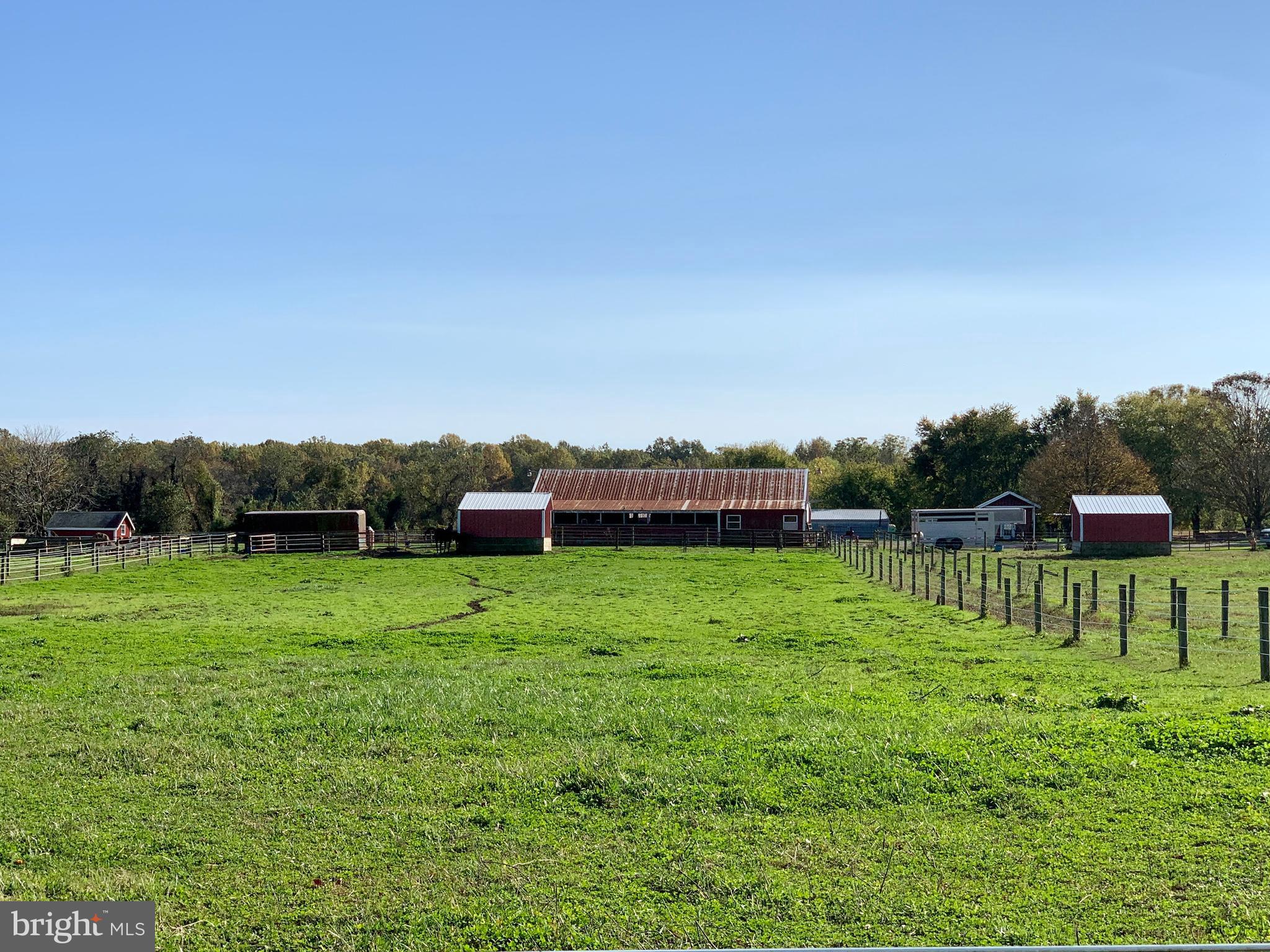 516 Crouse Mill Road Queen Anne, MD 21657 - Photo 21 of 39 Pastures