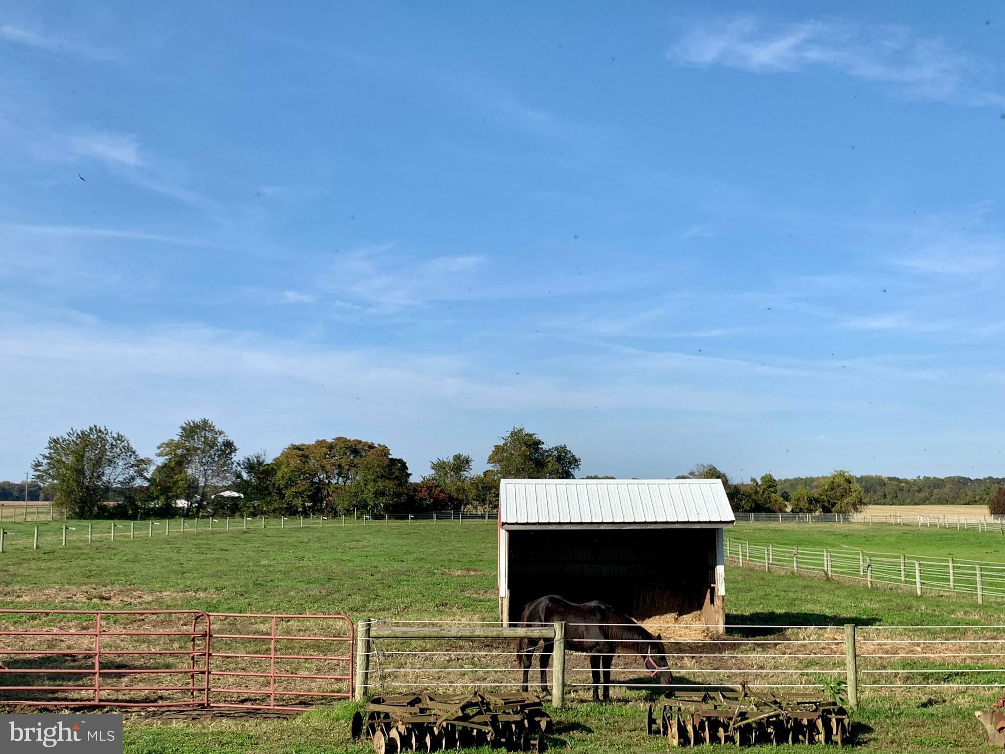 516 Crouse Mill Road Queen Anne, MD 21657 - Photo 30 of 39 Horses