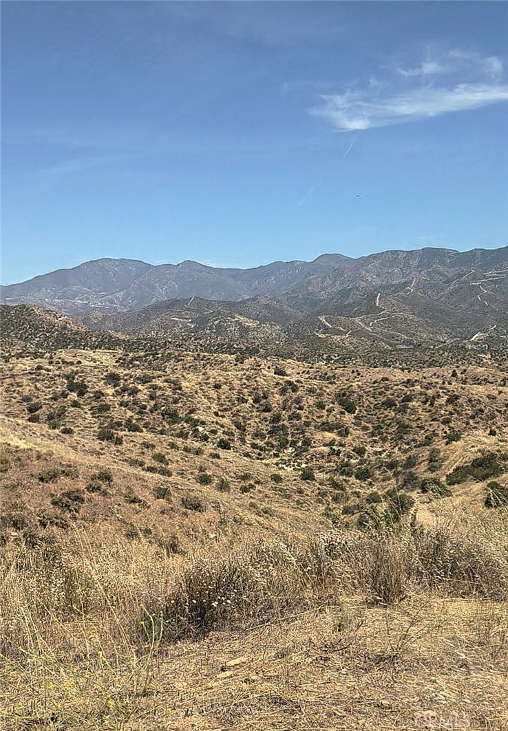 0 Briggs Road Agua Dulce, CA 91390 - Photo 9 of 10