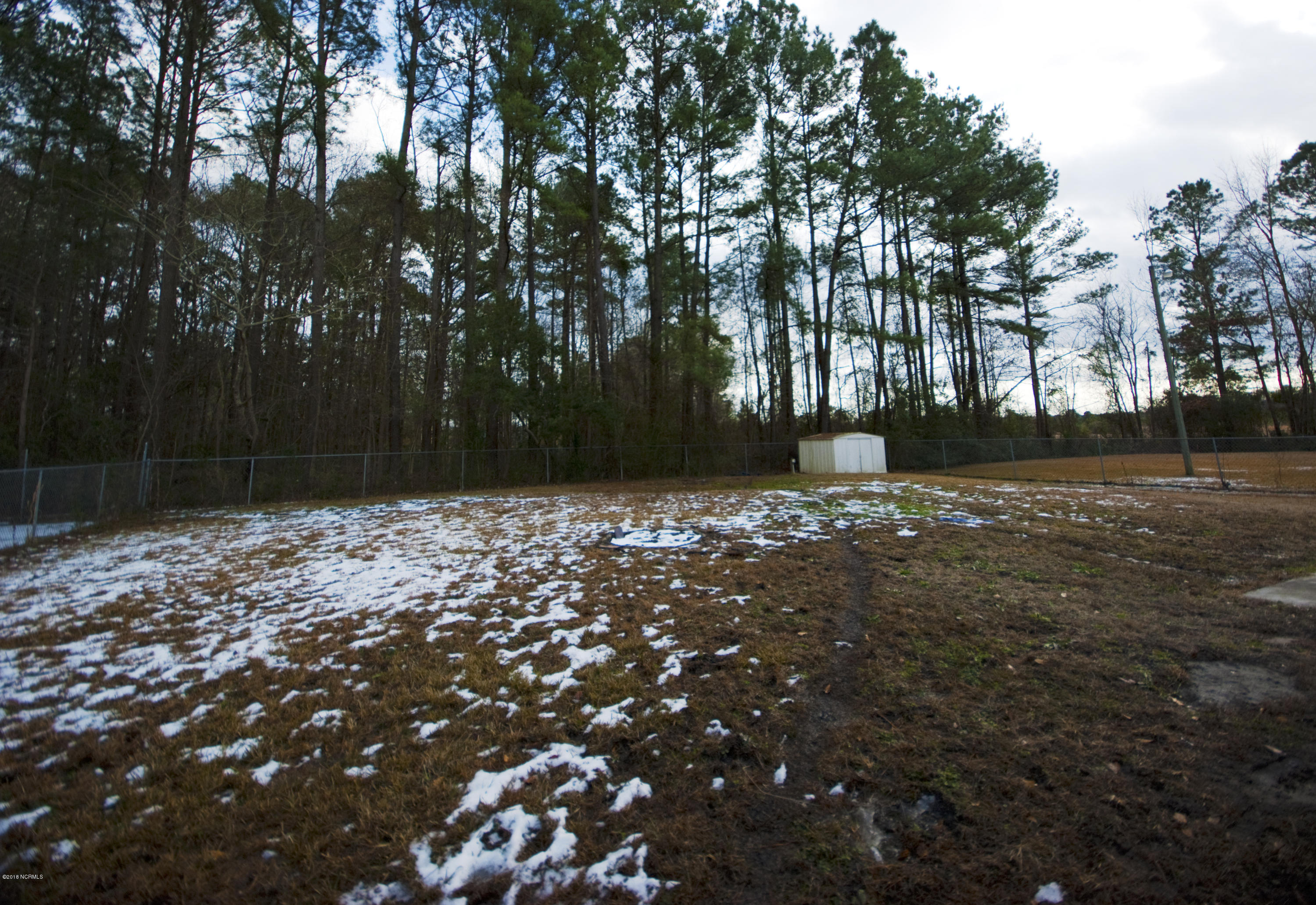 201 Haws Run Road Jacksonville, NC 28540 - Photo 4 of 17 backyard 2
