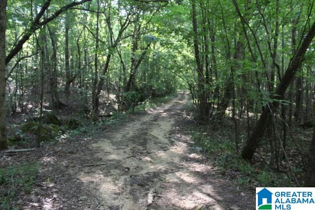 1 Benefield Gap Road Attalla, AL 35954 - Photo 42 of 50