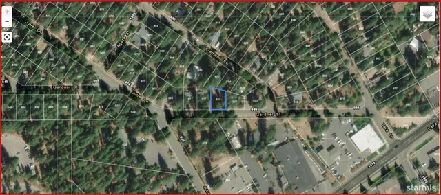 a view of a lake with a tree