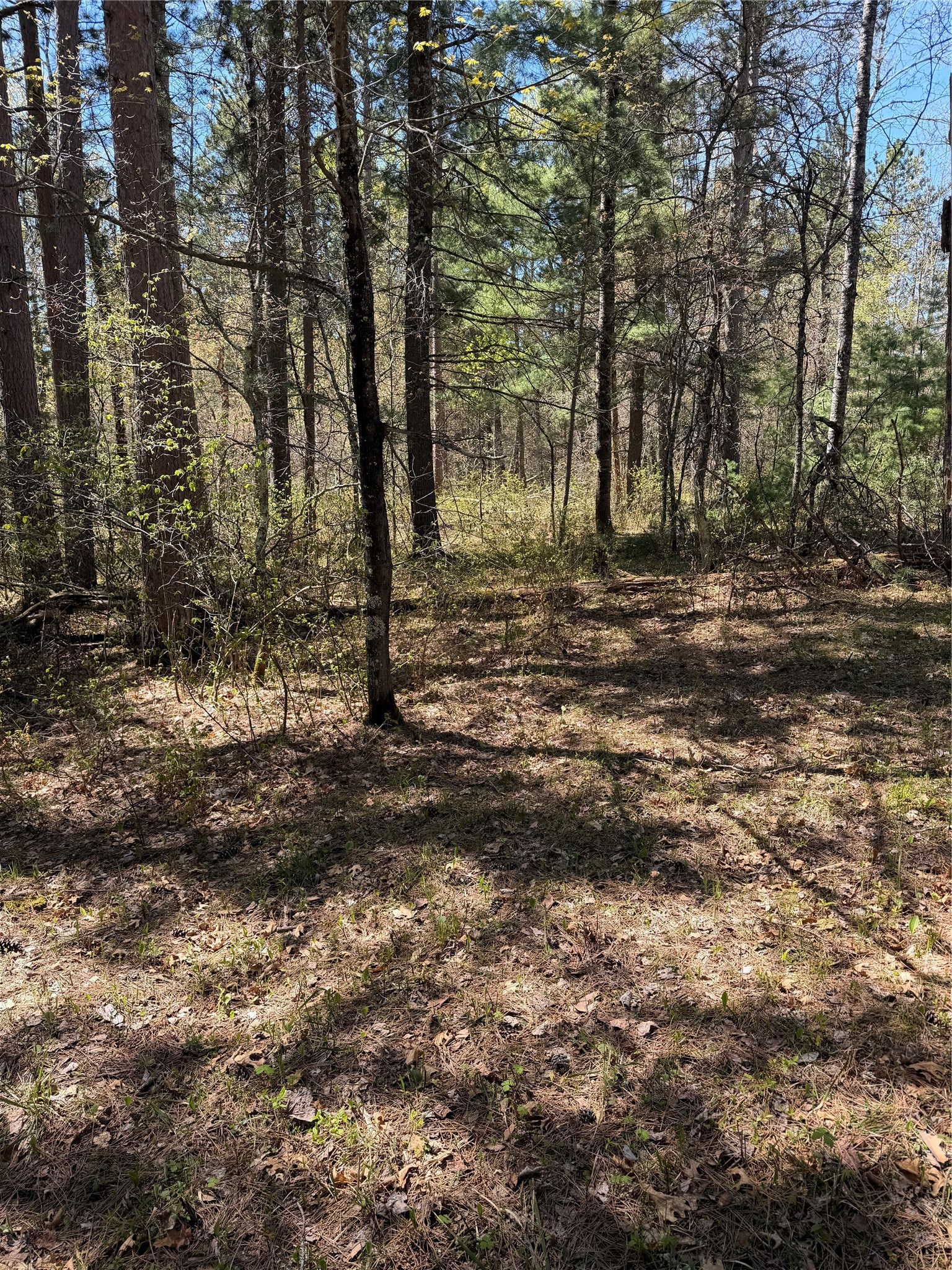 2395 Island Lake Road Barnes, WI 54873 - Photo 10 of 16