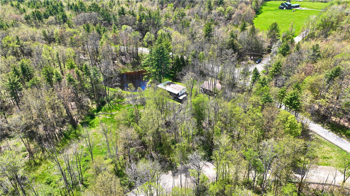 480 Buckley Hill Road Coventry, NY 13730 - Photo 29 of 39