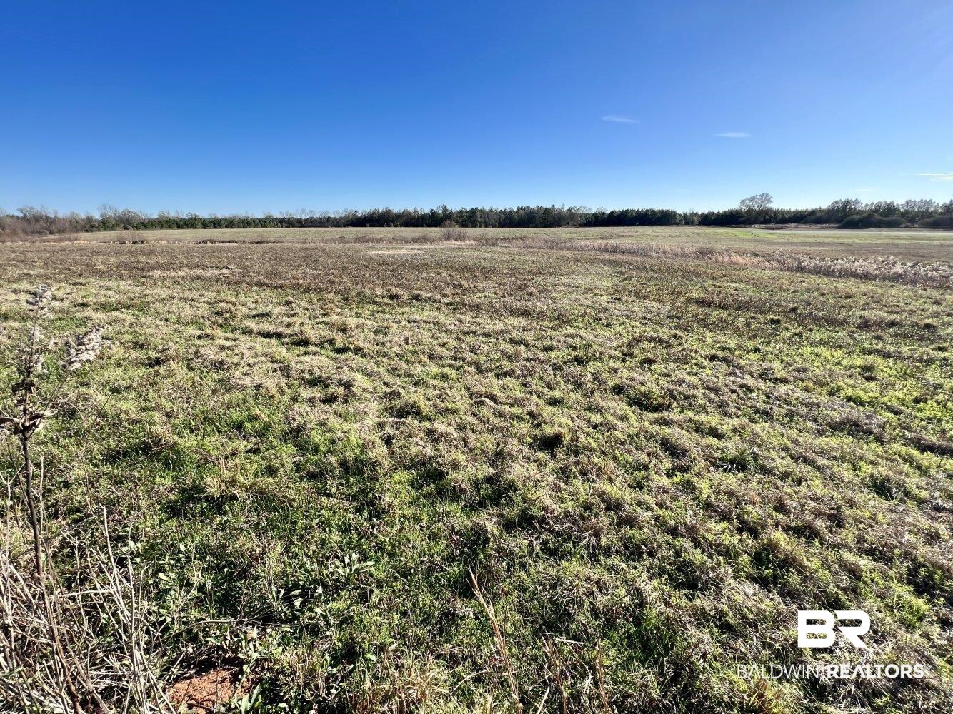 0 Highway 84 Evergreen, AL 36401 - Photo 11 of 50