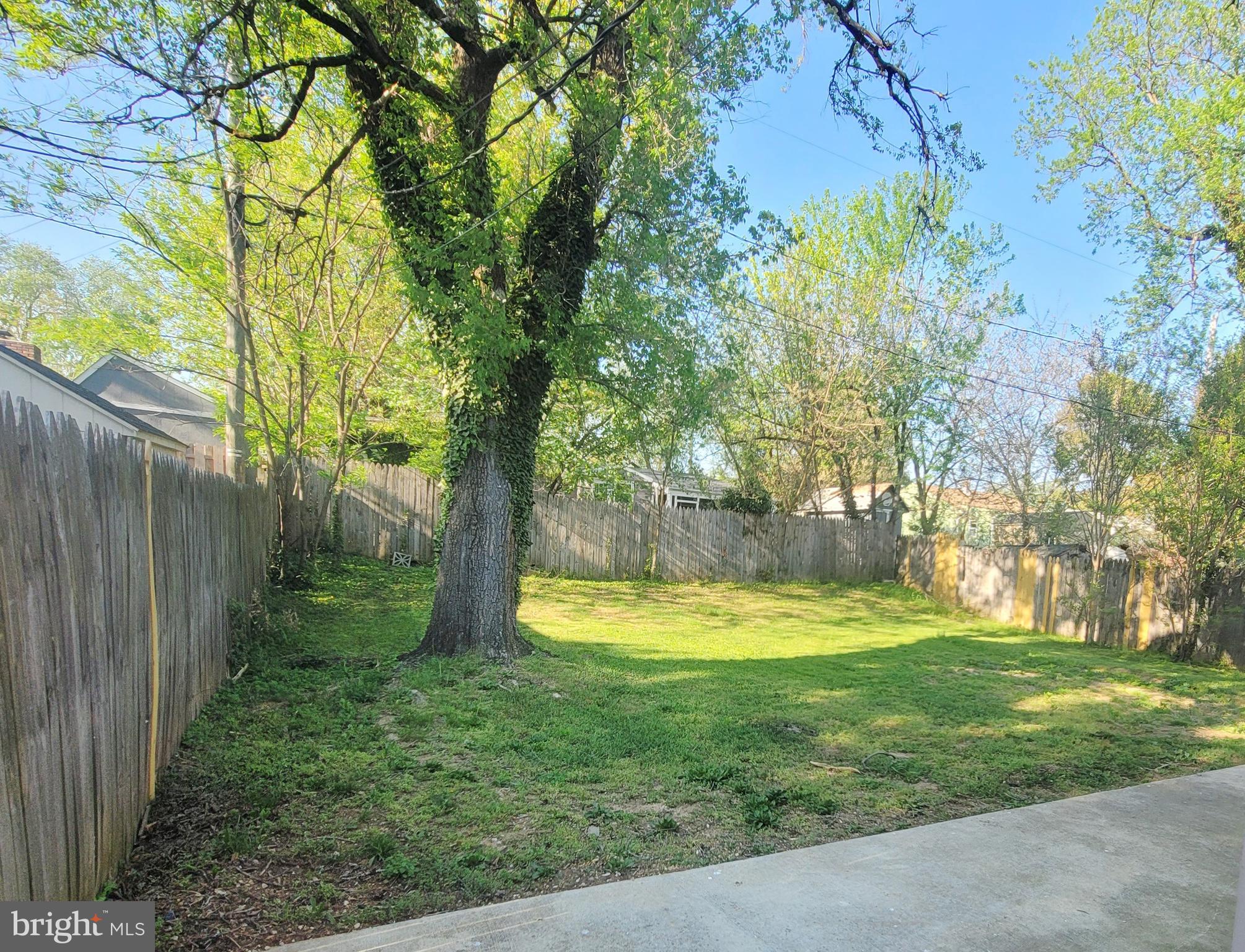 116 Cedar Hill Road Brooklyn Park, MD 21225 - Photo 5 of 43 Backyard