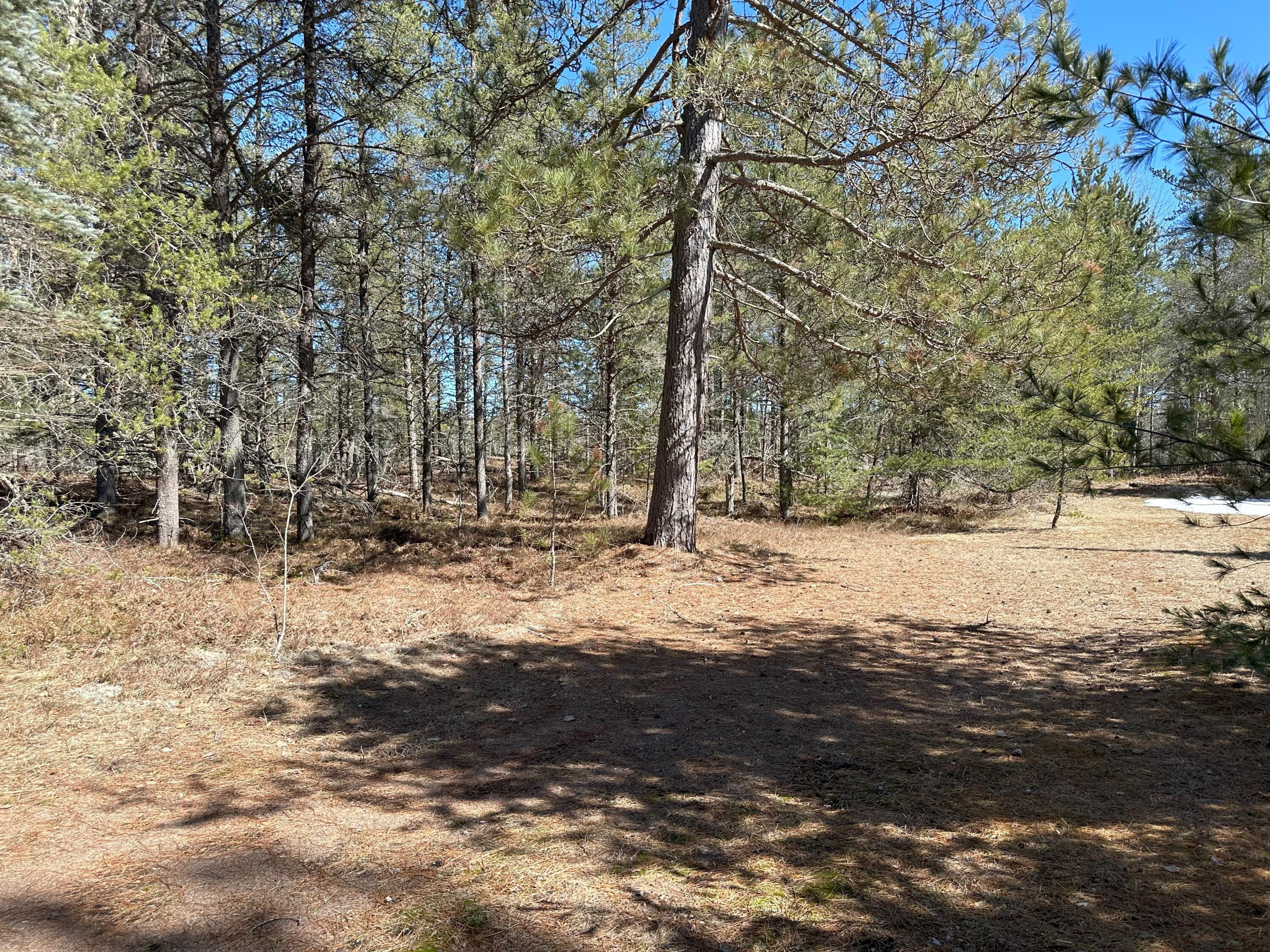 6524 Timber Lost Road Paradise, MI 49768 - Photo 48 of 64 Gallery Image 48